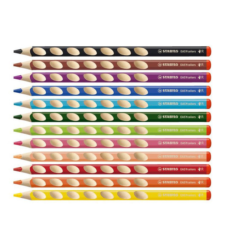 Array de ToutLeScolaire