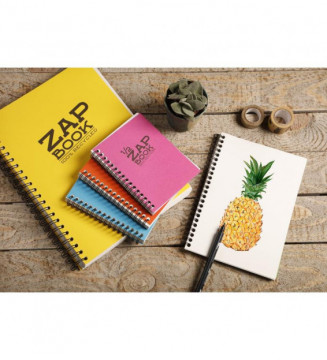Tout le scolaire