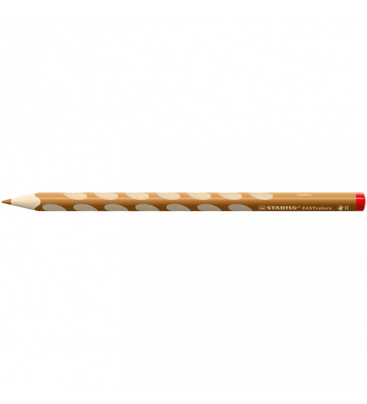 Tout le scolaire
