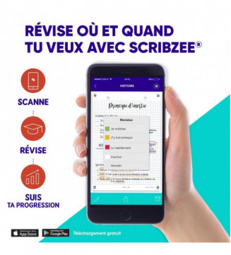 Tout le scolaire