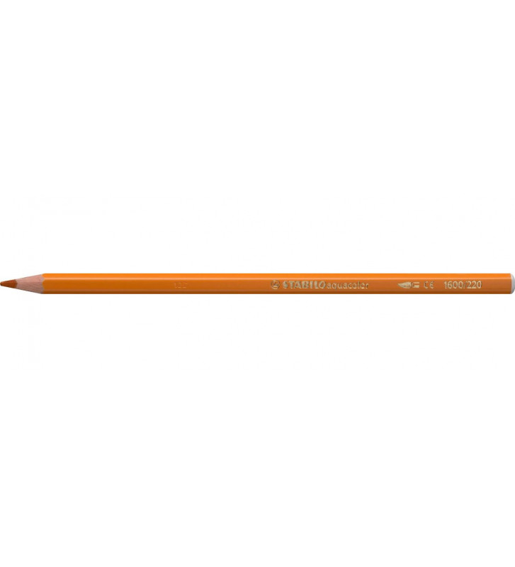 Tout le scolaire