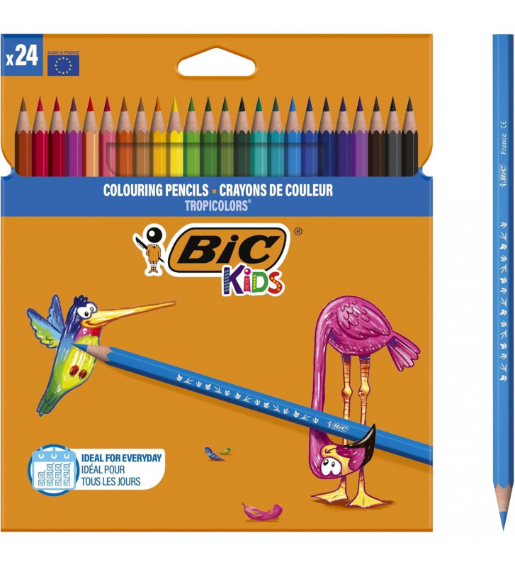 Tout le scolaire