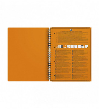 Tout le scolaire