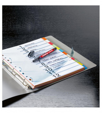 Tout le scolaire