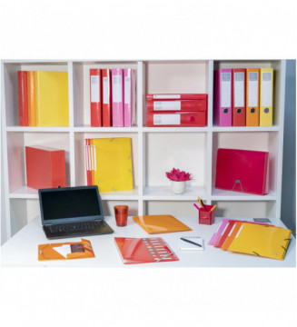 Tout le scolaire