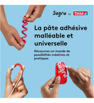 Tout le scolaire