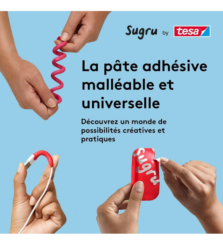 Tout le scolaire