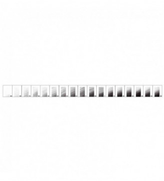 Tout le scolaire