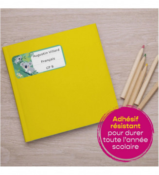 Tout le scolaire