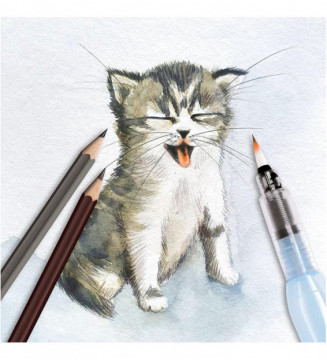 Tout le scolaire