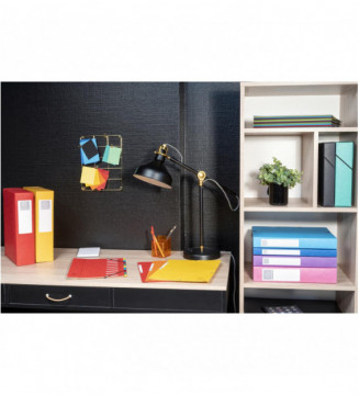 Tout le scolaire
