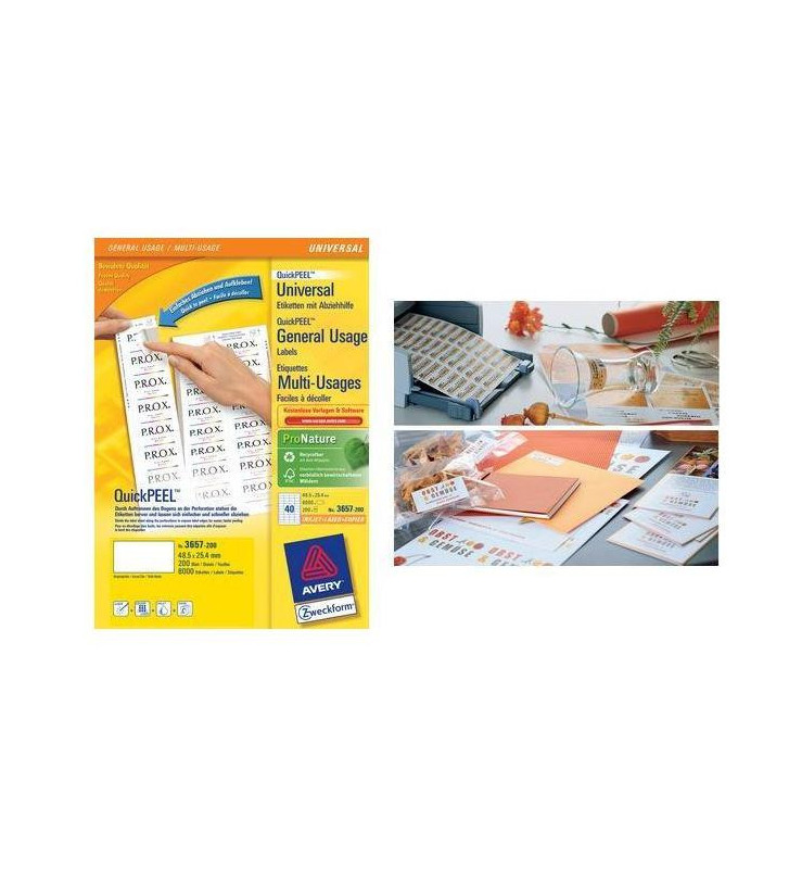 Tout le scolaire